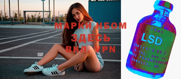 эйфоретик Тавда